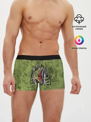 Мужские трусы боксеры / Динозавр из груди | Dino