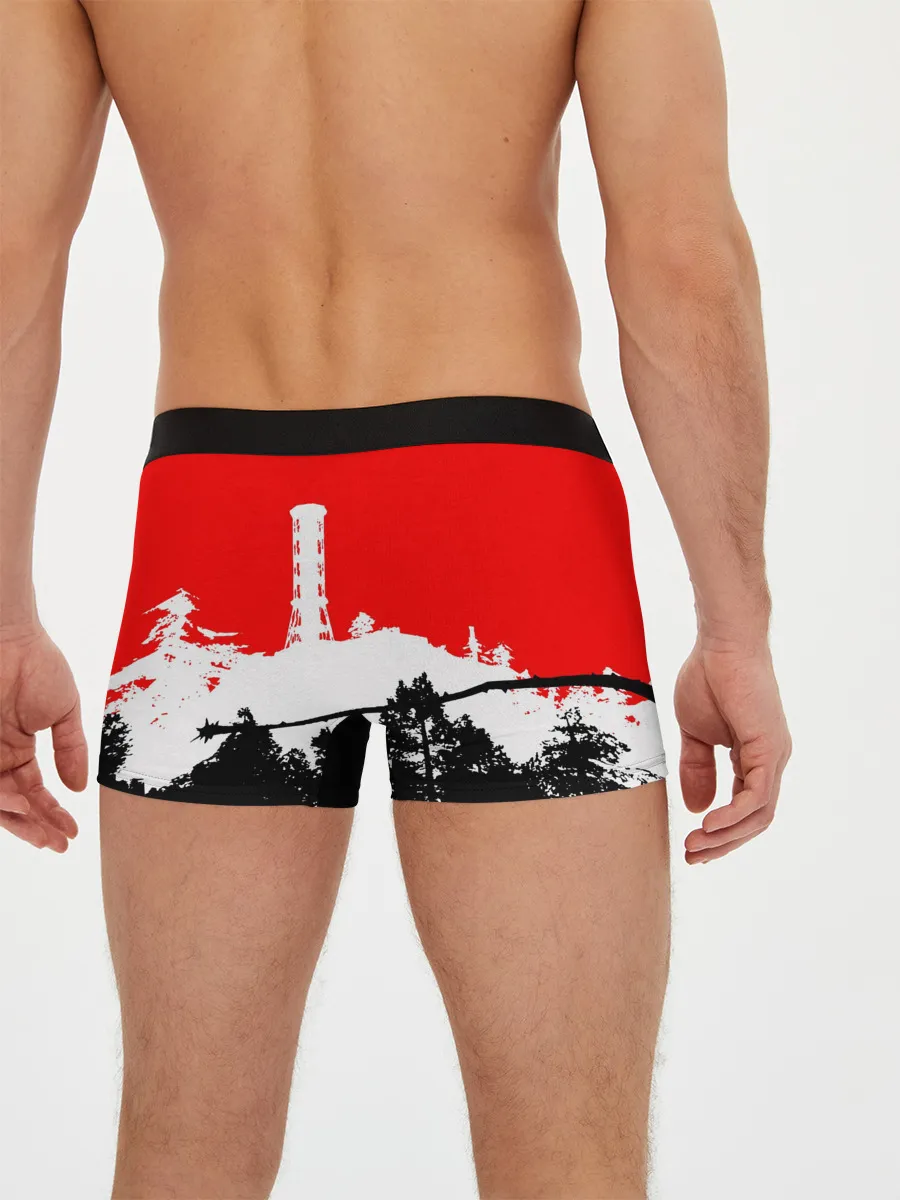 Мужские трусы боксеры / STALKER 2