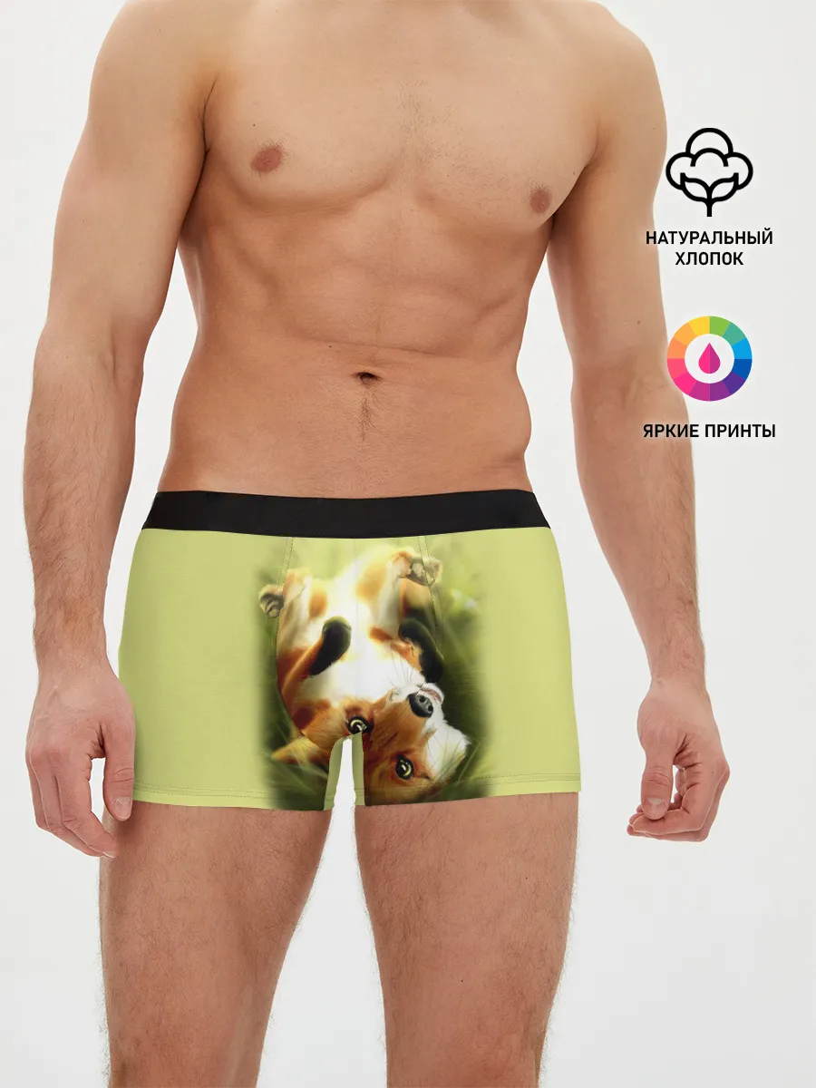 Мужские трусы боксеры / Лиса на траве