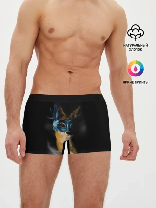 Мужские трусы боксеры / Лиса в маске