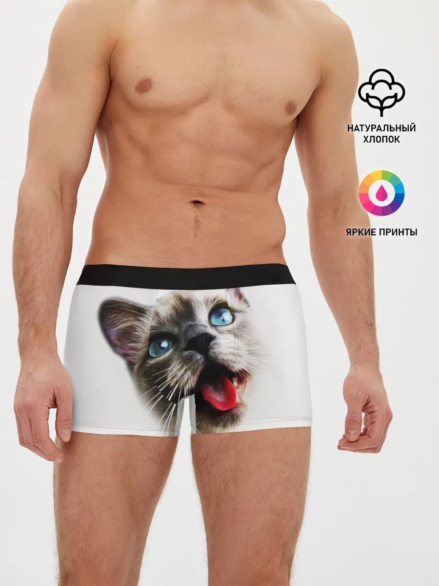 Мужские трусы боксеры / Котик