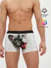 Мужские трусы боксеры / Котик