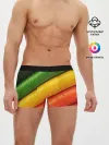 Мужские трусы боксеры / Цветные линии