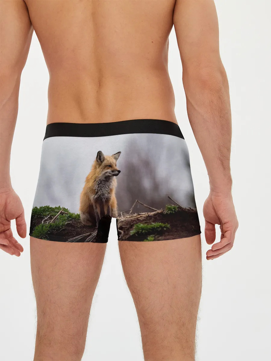 Мужские трусы боксеры / Лиса