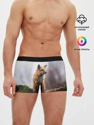 Мужские трусы боксеры / Лиса