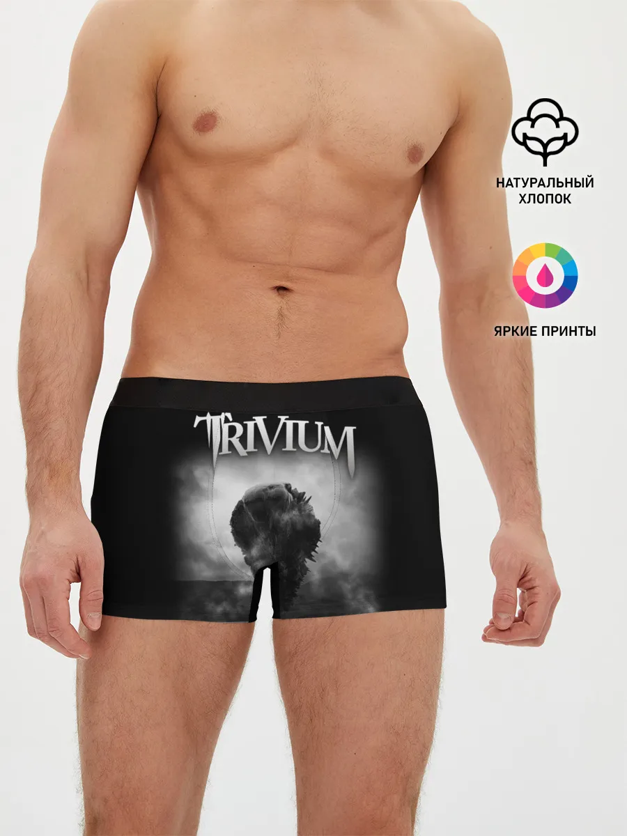 Мужские трусы боксеры / Trivium