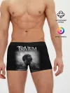 Мужские трусы боксеры / Trivium