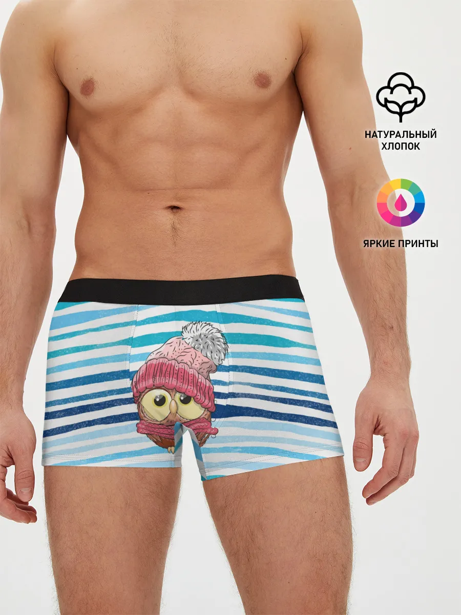 Мужские трусы боксеры / Сова в шапке