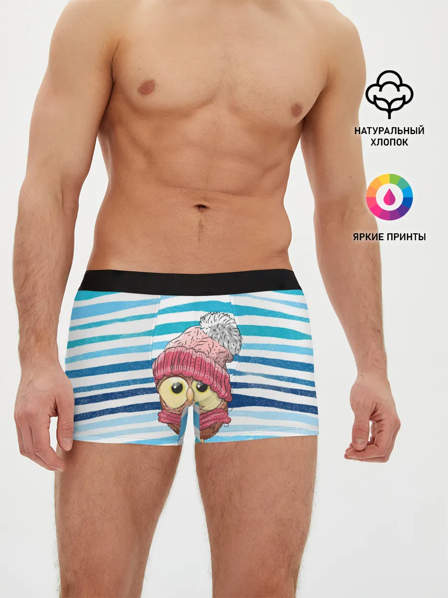 Мужские трусы боксеры / Сова в шапке