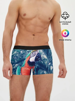 Мужские трусы боксеры / Попугай