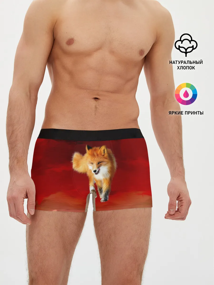 Мужские трусы боксеры / Огненная Лиса