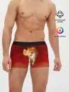 Мужские трусы боксеры / Огненная Лиса