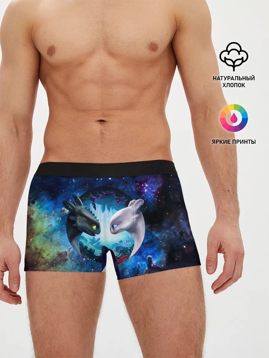 Мужские трусы боксеры / ночная фурия