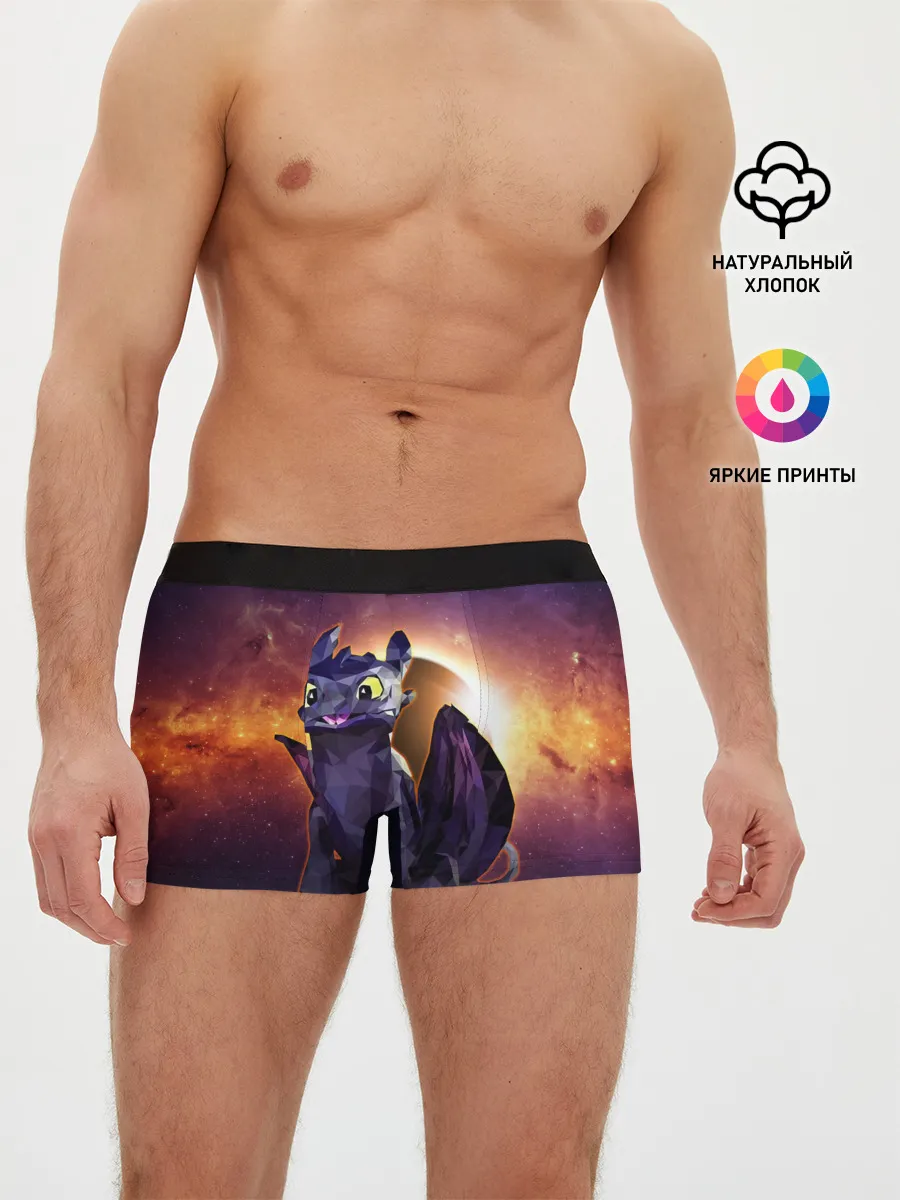 Мужские трусы боксеры / ночная фурия