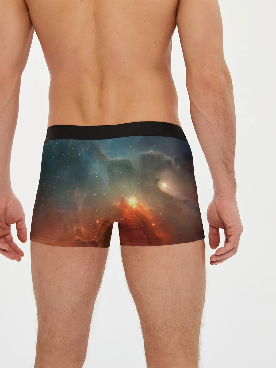 Мужские трусы боксеры / ночная фурия