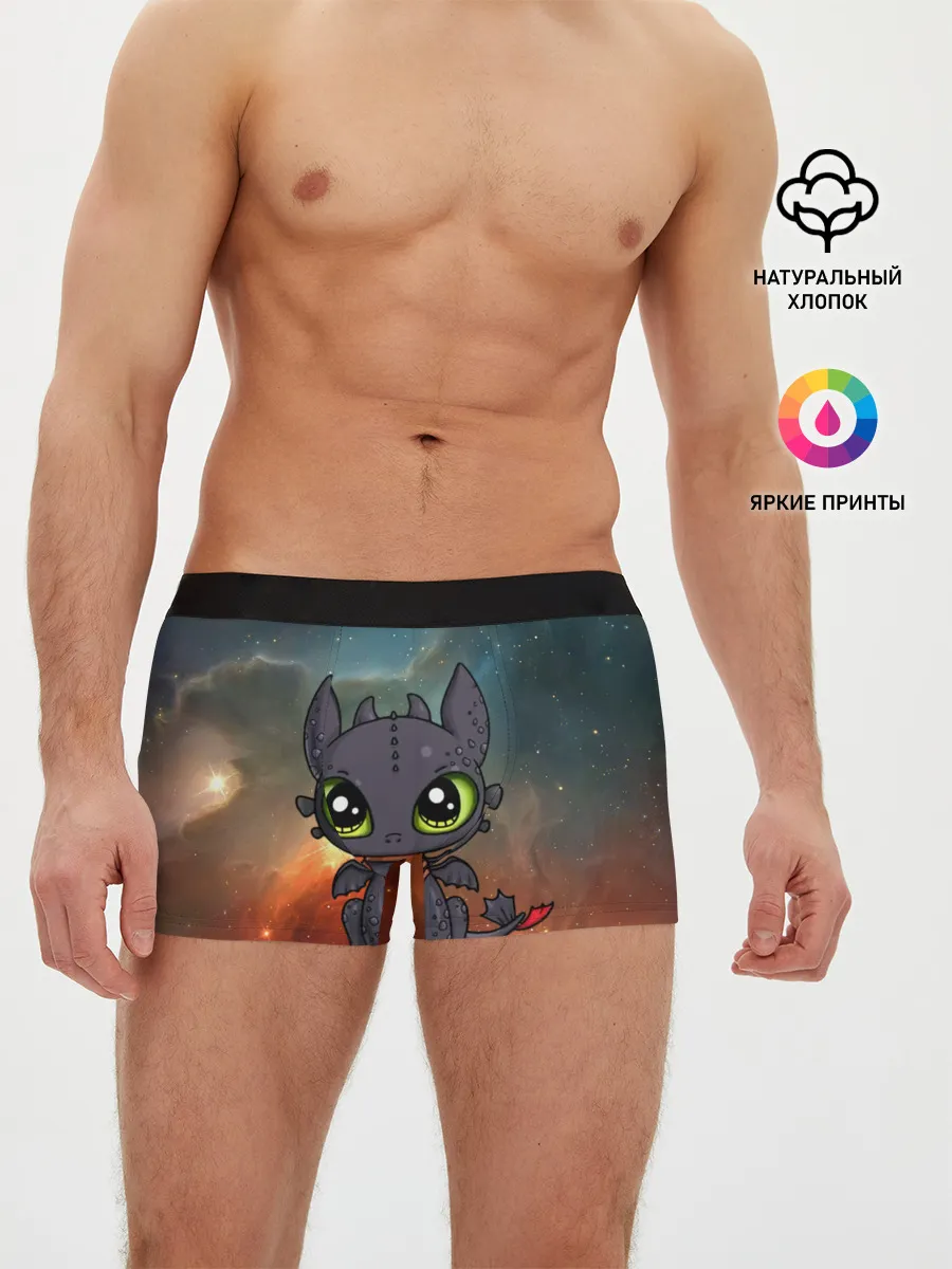 Мужские трусы боксеры / ночная фурия