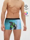 Мужские трусы боксеры / дневная фурия