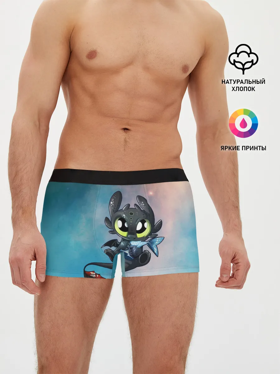 Мужские трусы боксеры / ночная фурия