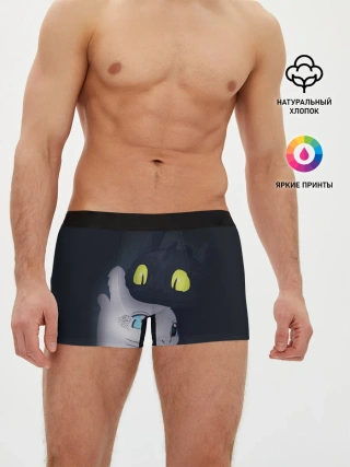 Мужские трусы боксеры / Как приручить дракона