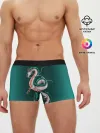 Мужские трусы боксеры / Дракон Хаку зеленый градиент