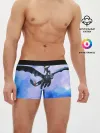 Мужские трусы боксеры / Night Fury
