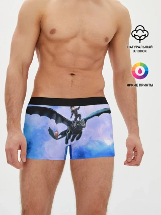 Мужские трусы боксеры / Night Fury