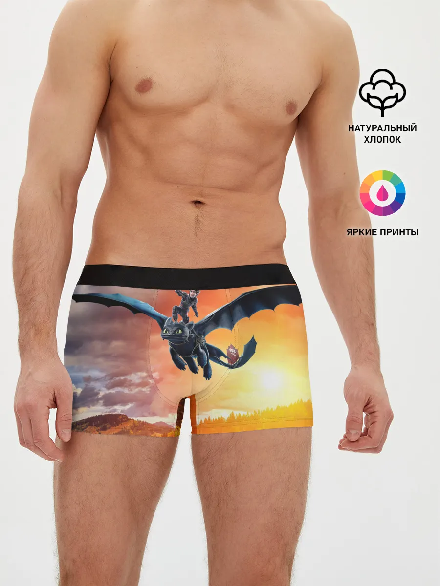 Мужские трусы боксеры / Night Fury