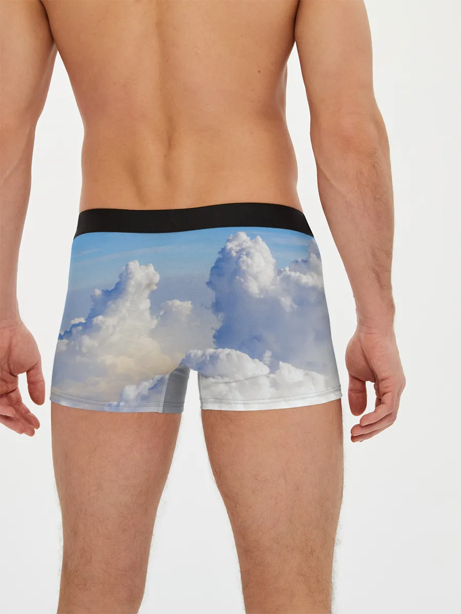 Мужские трусы боксеры / Night Fury