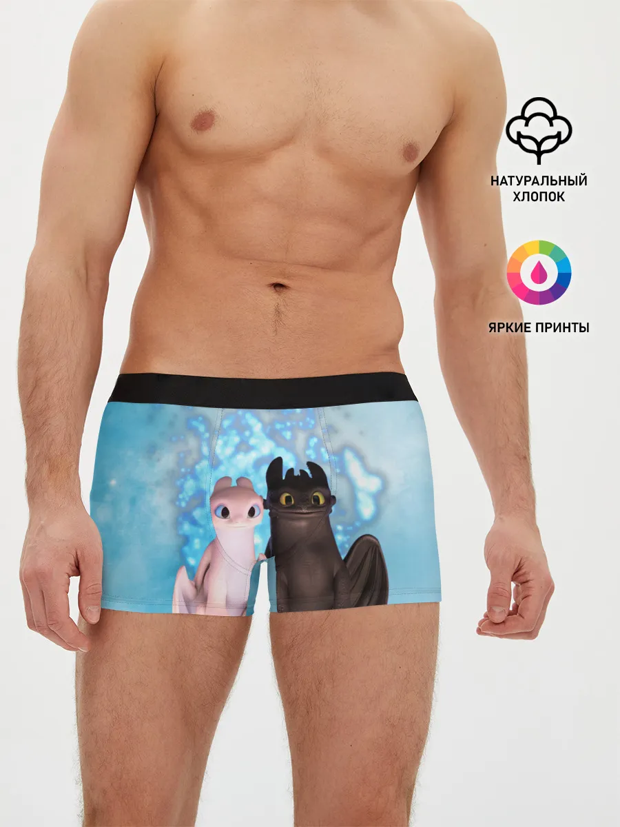 Мужские трусы боксеры / ночная фурия