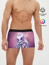 Мужские трусы боксеры / дневная фурия