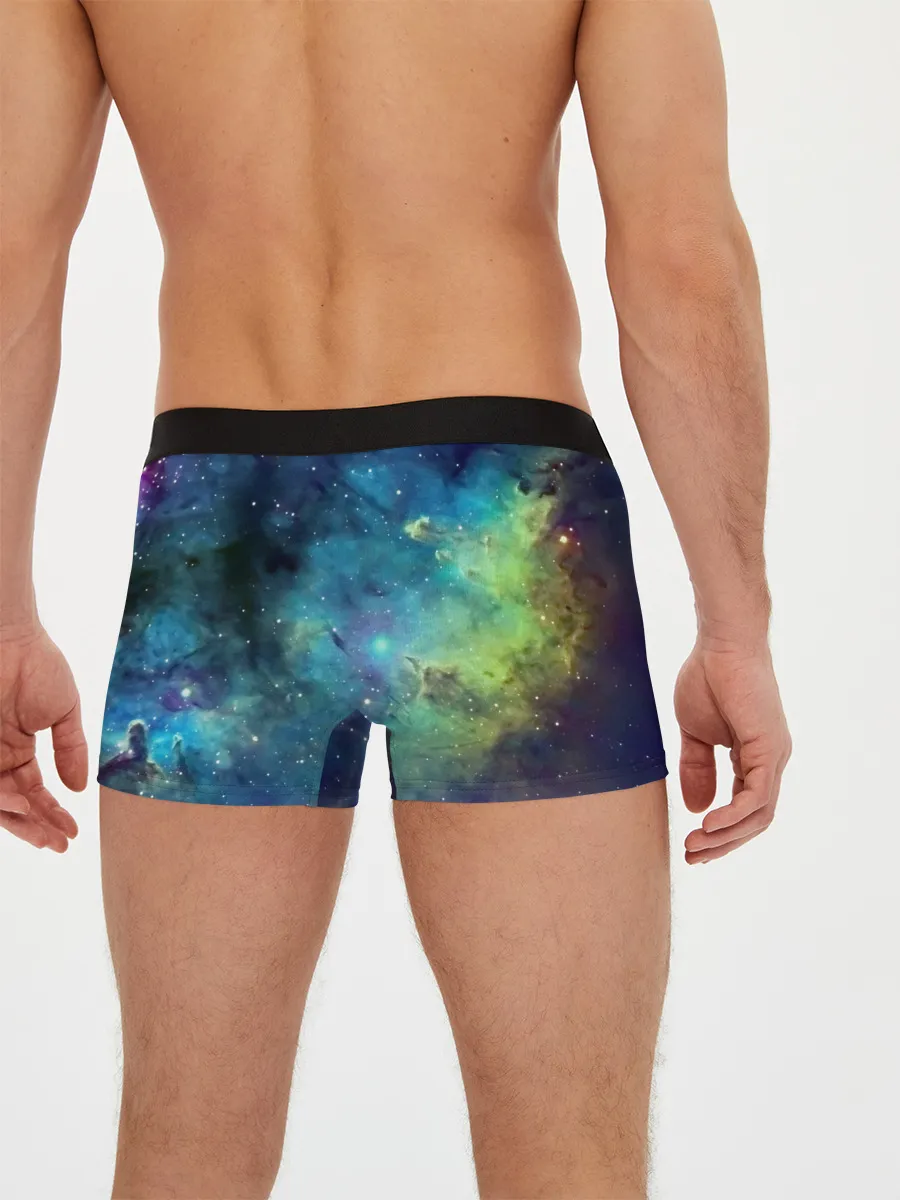 Мужские трусы боксеры / дневная фурия