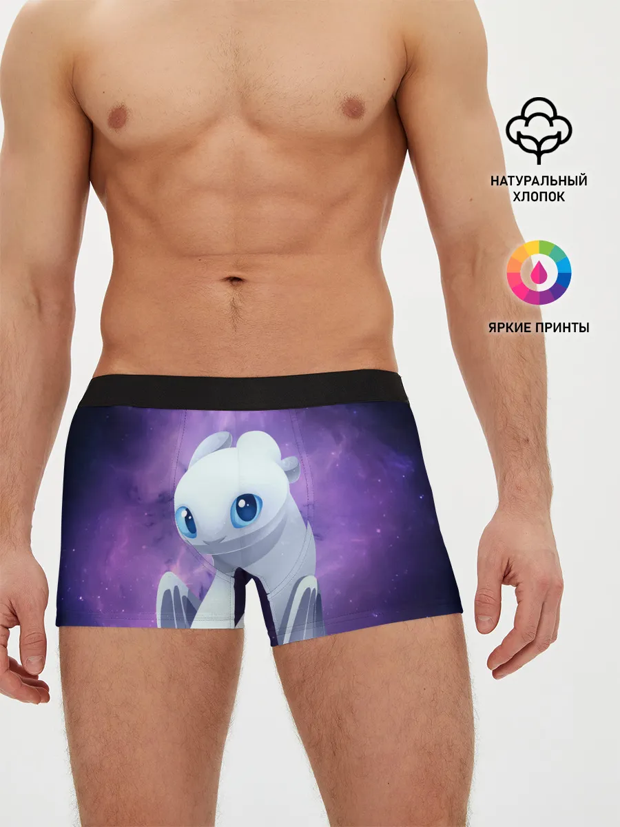 Мужские трусы боксеры / дневная фурия