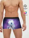 Мужские трусы боксеры / дневная фурия