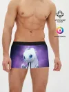Мужские трусы боксеры / дневная фурия