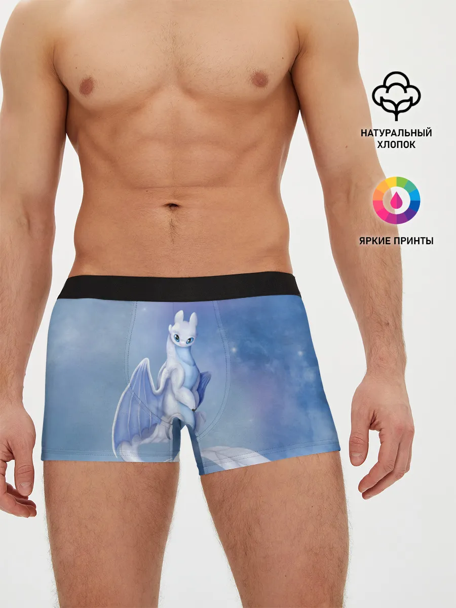 Мужские трусы боксеры / дневная фурия