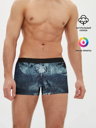 Мужские трусы боксеры / The witcher