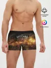 Мужские трусы боксеры / The witcher