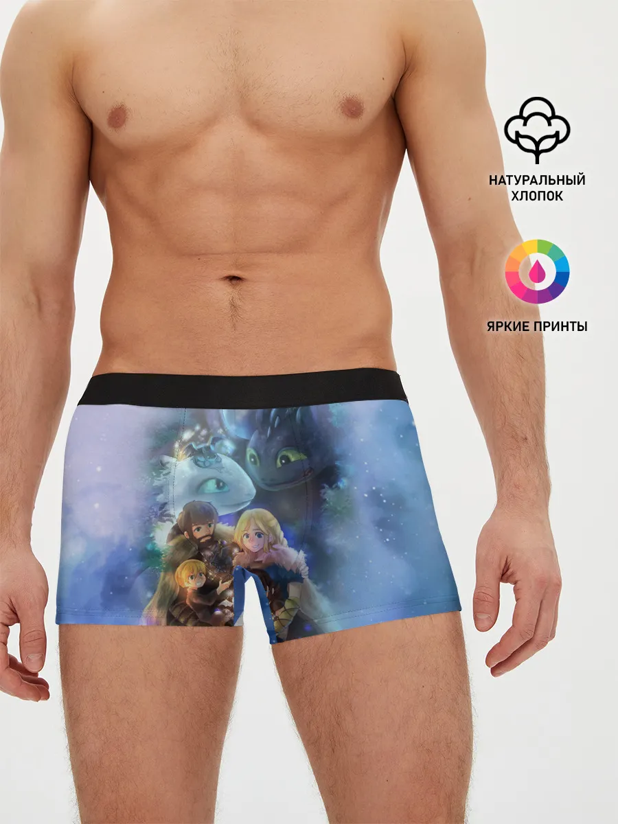 Мужские трусы боксеры / ночная фурия