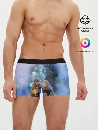 Мужские трусы боксеры / ночная фурия