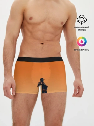 Мужские трусы боксеры / Назад в будущее