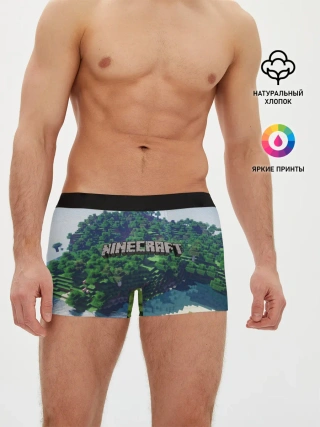 Мужские трусы боксеры / Minecraft