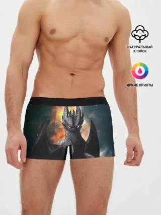 Мужские трусы боксеры / Night Fury