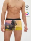 Мужские трусы боксеры / Дракончик на берегу озера