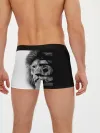 Мужские трусы боксеры / Лев царь зверей
