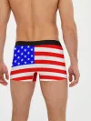 Мужские трусы боксеры / АМЕРИКАНСКИЙ ФЛАГ