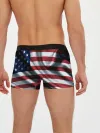 Мужские трусы боксеры / Символика Америки