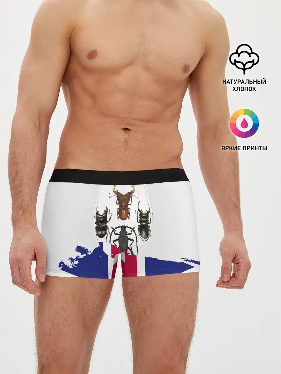 Мужские трусы боксеры / Жуки