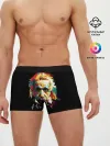 Мужские трусы боксеры / Альберт Эйнштейн