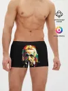 Мужские трусы боксеры / Альберт Эйнштейн