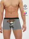 Мужские трусы боксеры / Real pirate